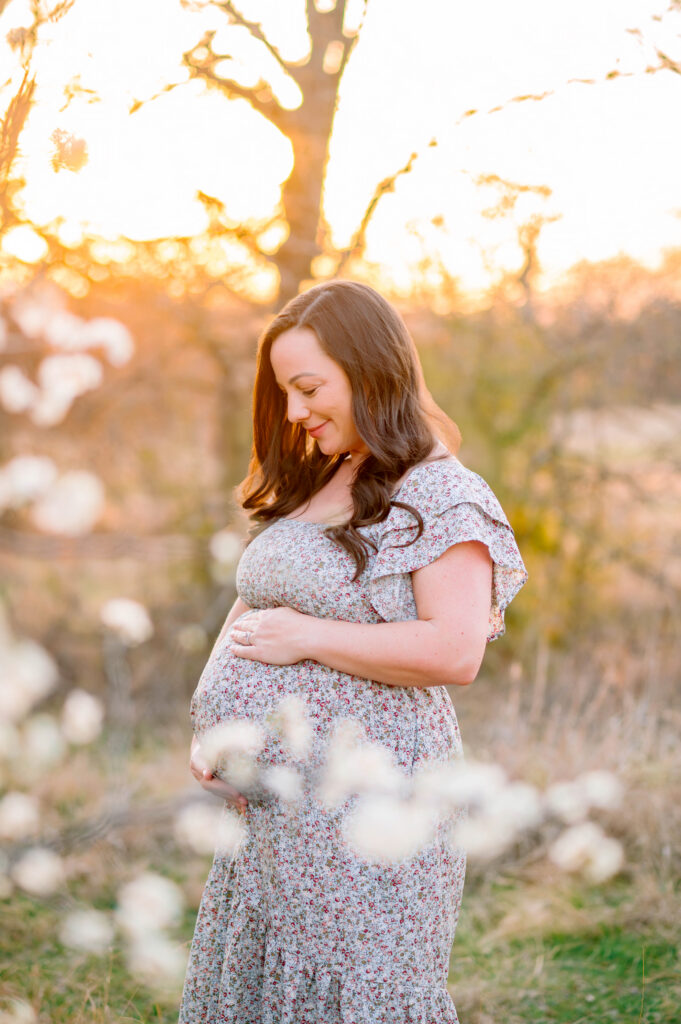 Pregnant mom looking down at belly behind a tree with flowers with the sunset behind her during a maternity session in Plano, Texas. 