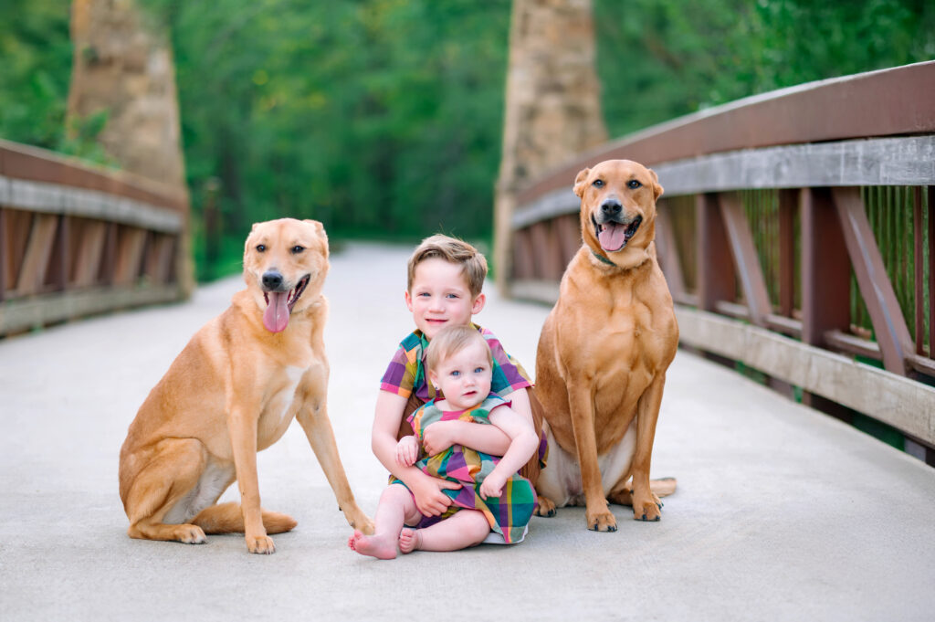 Big brother holding baby sister on bridge with one dog on either side at Oak Point Nature Preserve in Plano, Texas. 